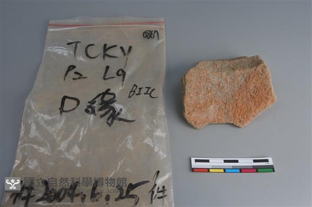 陶片藏品圖，第2張