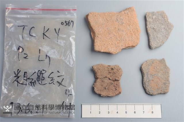 陶片藏品圖，第2張