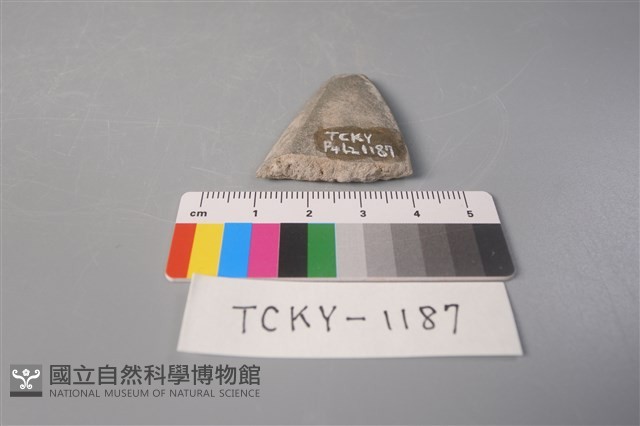 石刀藏品圖，第2張