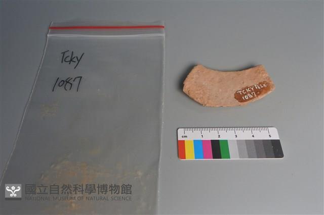 陶片藏品圖，第2張