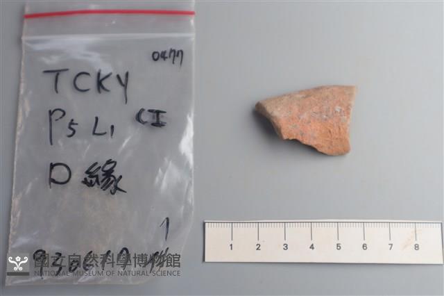陶片藏品圖，第2張