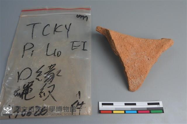 陶片藏品圖，第2張