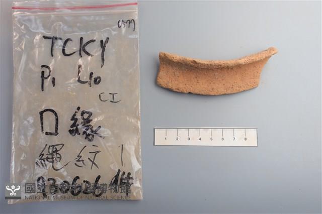 陶片藏品圖，第2張