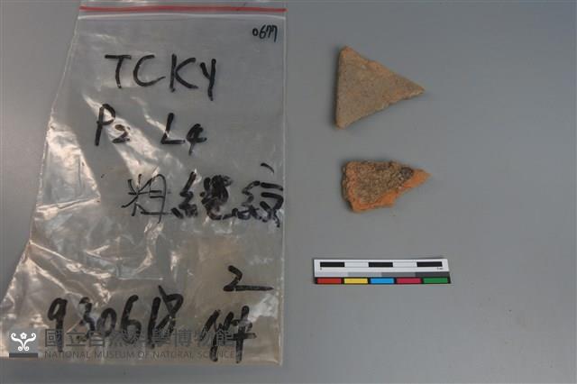 陶片藏品圖，第2張