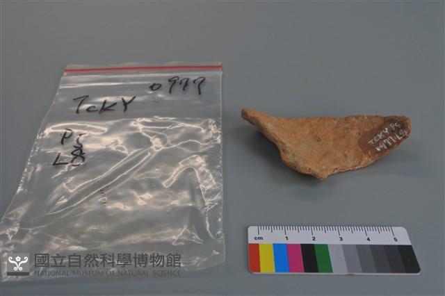 陶片藏品圖，第2張