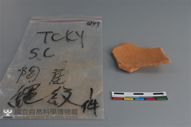 陶片藏品圖，第2張