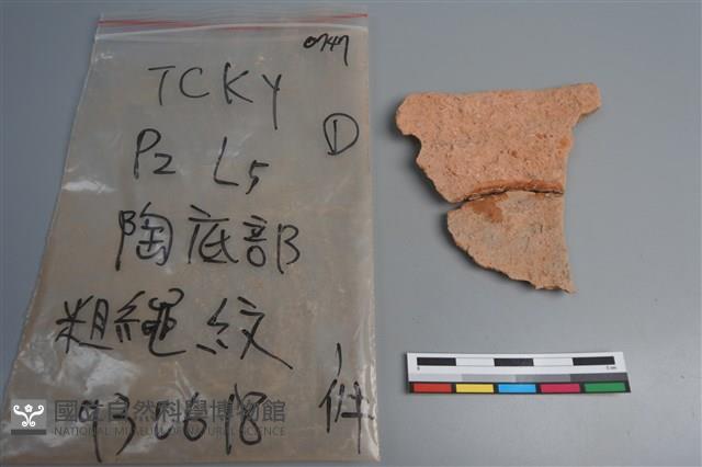 陶片藏品圖，第2張