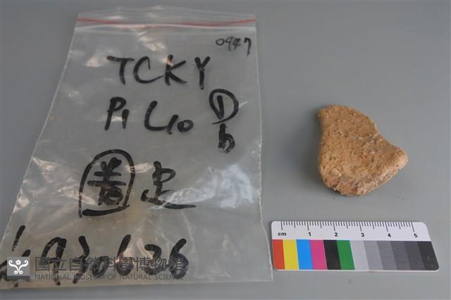 陶片藏品圖，第2張