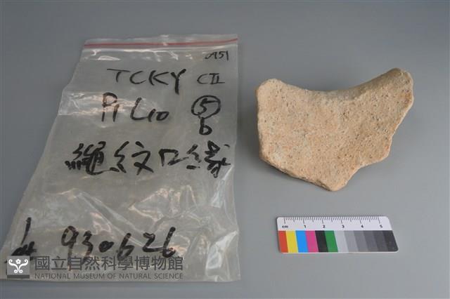 陶片藏品圖，第2張