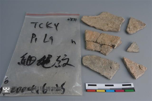 陶片藏品圖，第2張