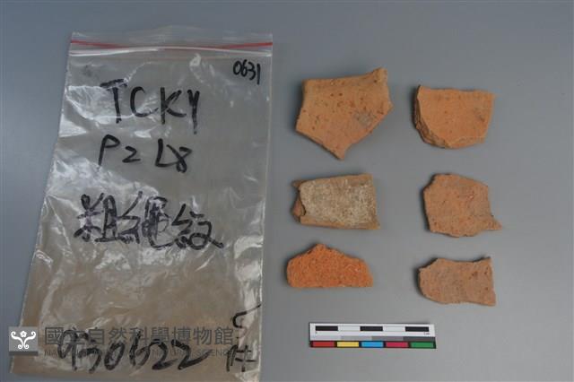 陶片藏品圖，第2張