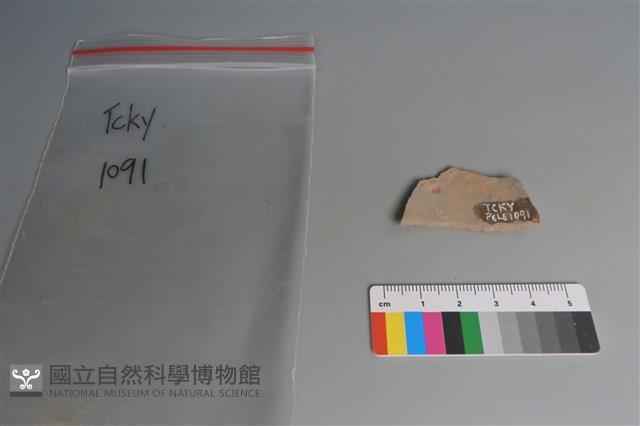 陶片藏品圖，第2張