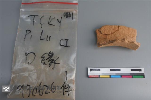 陶片藏品圖，第2張