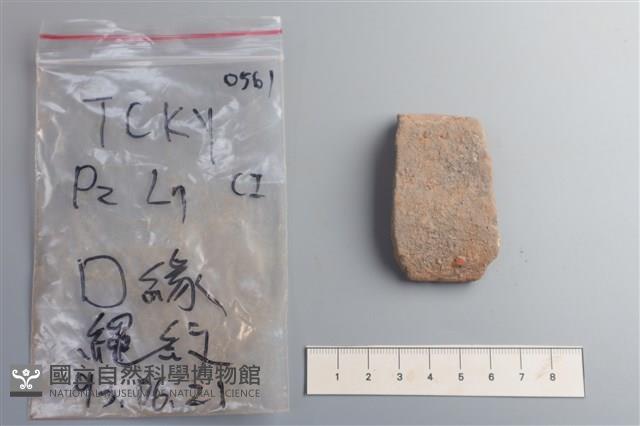 陶片藏品圖，第2張