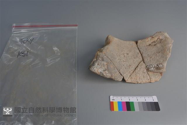 陶片藏品圖，第2張