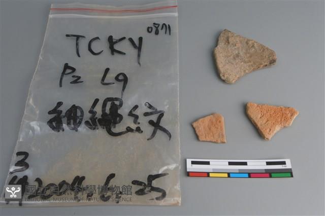 陶片藏品圖，第2張