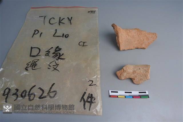 陶片藏品圖，第2張