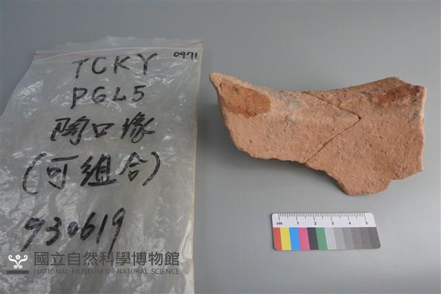 陶片藏品圖，第2張