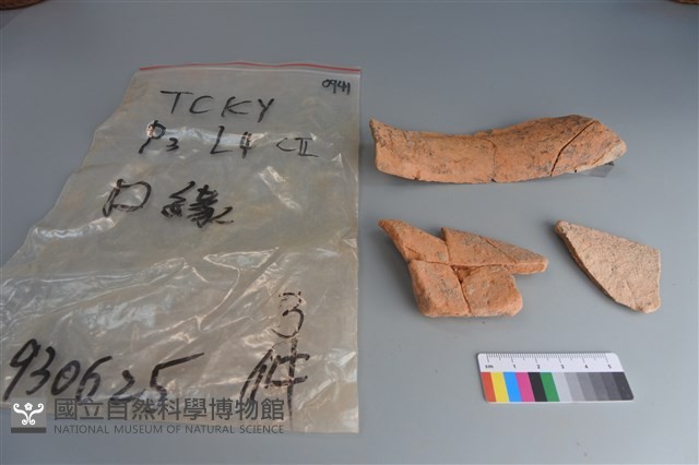 陶片藏品圖，第2張