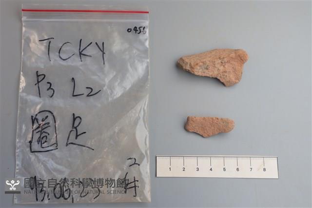 陶片藏品圖，第2張