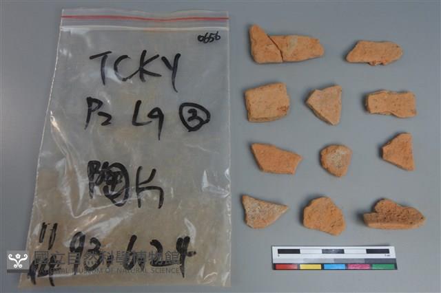 陶片藏品圖，第2張