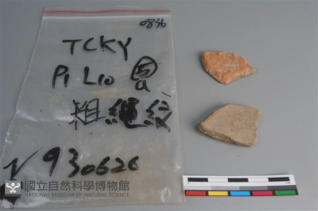 陶片藏品圖，第2張