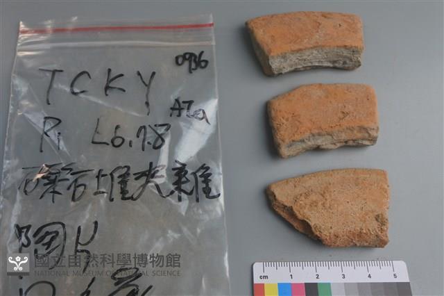 陶片藏品圖，第2張