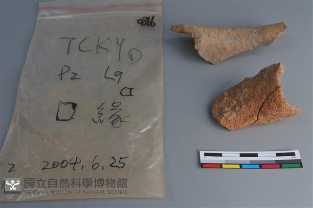 陶片藏品圖，第2張