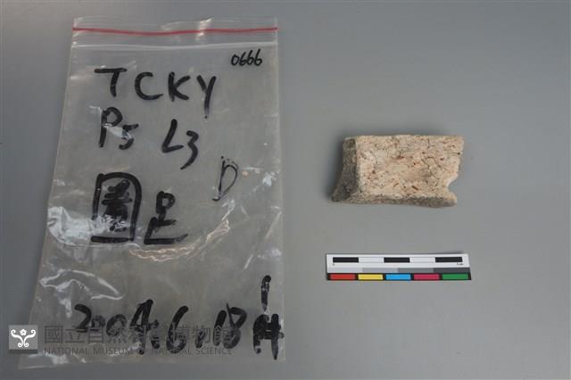 陶片藏品圖，第2張