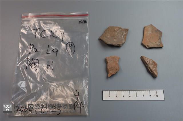 陶片藏品圖，第2張