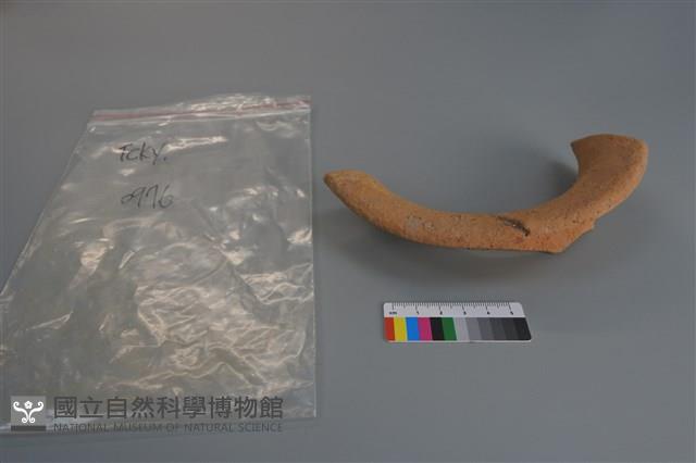 陶片藏品圖，第2張