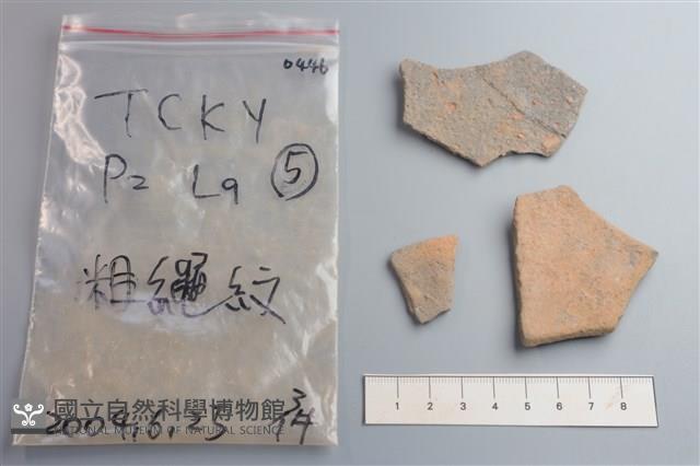 陶片藏品圖，第2張