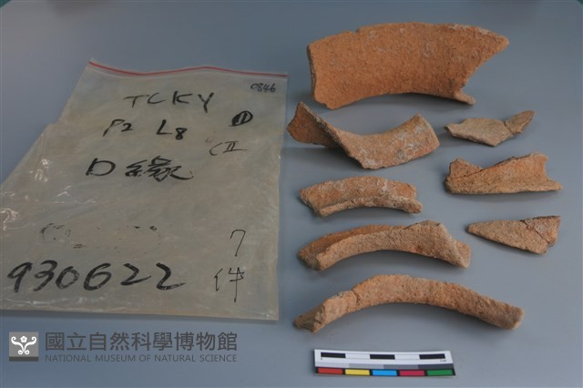 陶片藏品圖，第2張