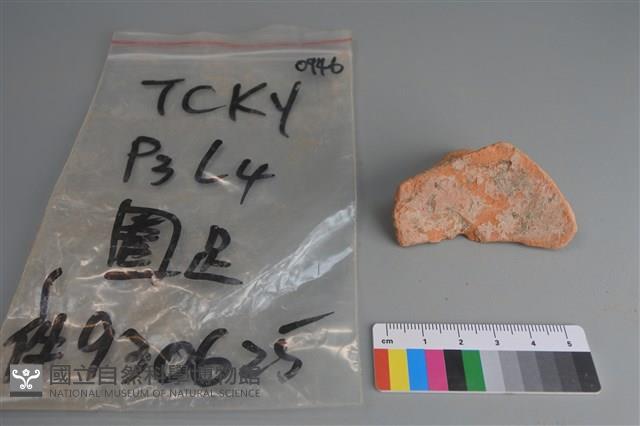 陶片藏品圖，第2張