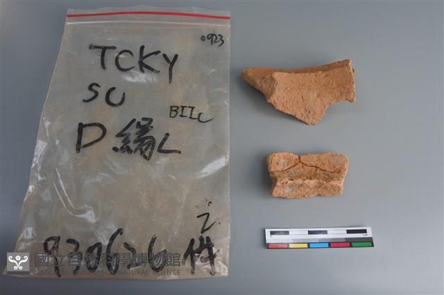 陶片藏品圖，第2張