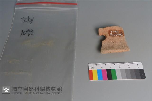 陶片藏品圖，第2張