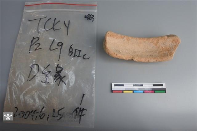 陶片藏品圖，第2張