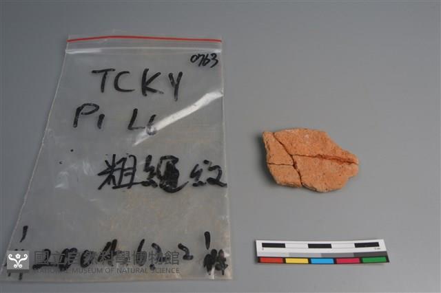 陶片藏品圖，第2張