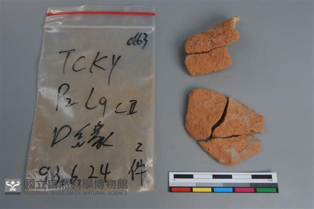 陶片藏品圖，第2張