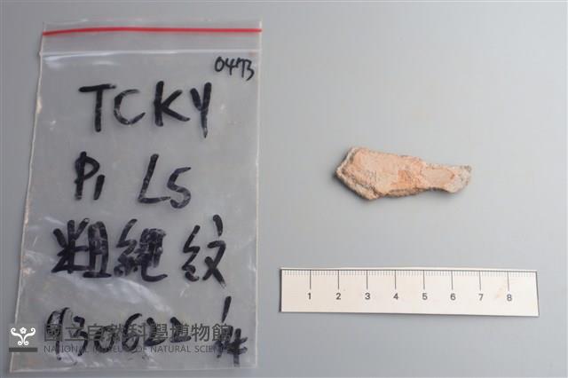 陶片藏品圖，第2張