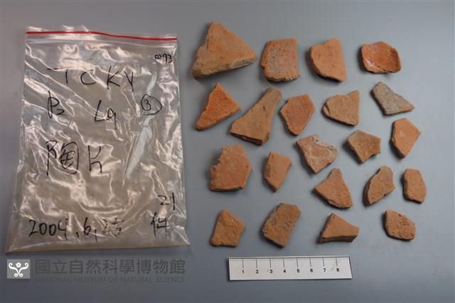 陶片藏品圖，第2張