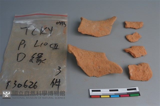 陶片藏品圖，第2張