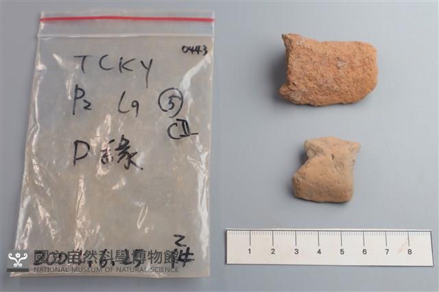 陶片藏品圖，第2張