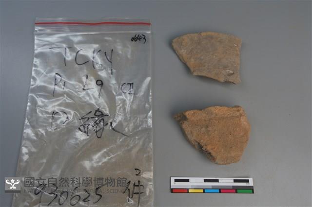 陶片藏品圖，第2張