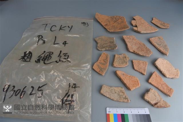 陶片藏品圖，第2張