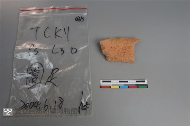 陶片藏品圖，第2張