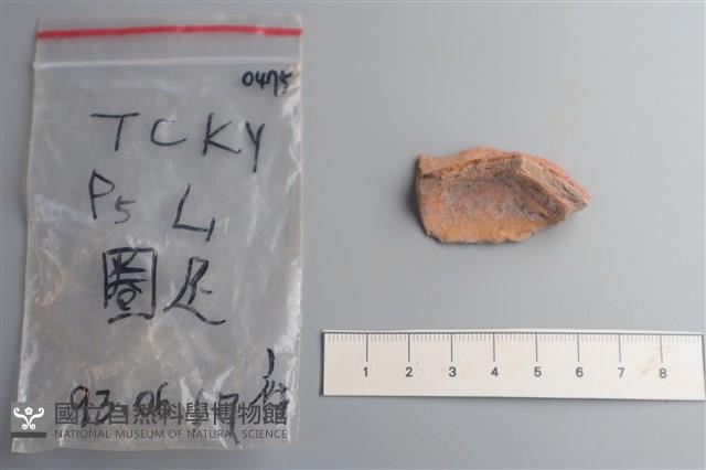 陶片藏品圖，第2張