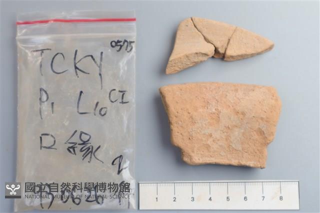 陶片藏品圖，第2張