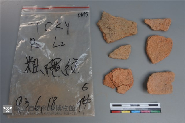 陶片藏品圖，第2張