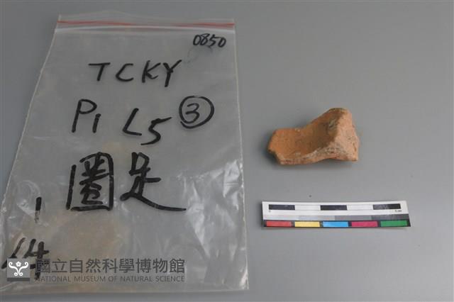 陶片藏品圖，第2張